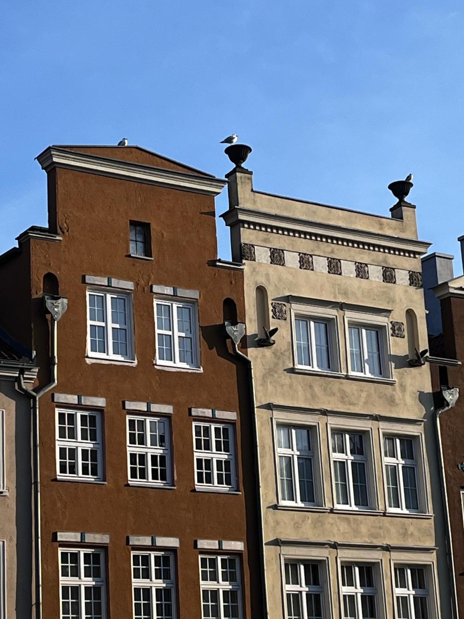 Grand Apartment - Old Town & City Center Gdansk Exterior photo